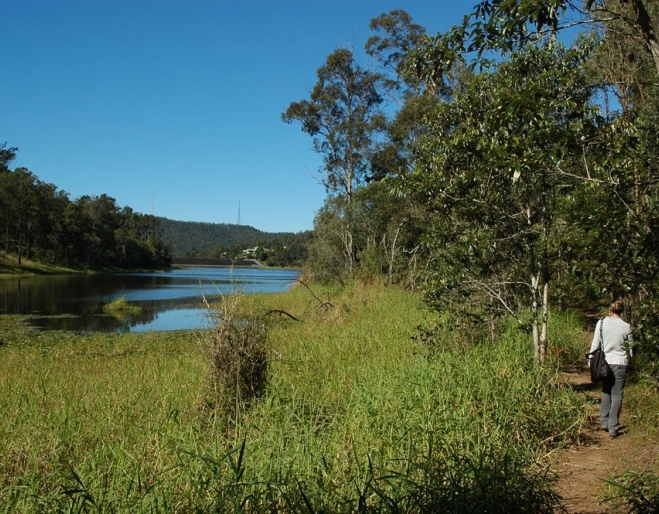 Woman walking on Araucaria circuit track in Brisbane Forest Park next to the Enoggera Reservoir in The Gap