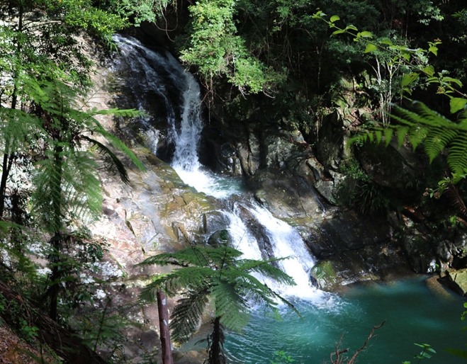 Cougal Cascades Springbrook National Park Currumbin Valley