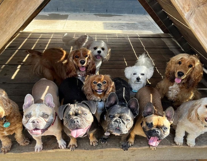 Barkley Park Day Care Kedron