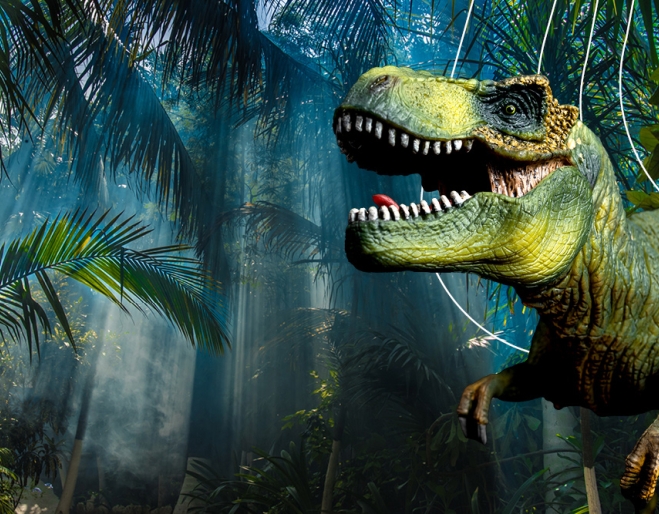 Dinosaur Discovery T-Rex Dinosaur Discovery