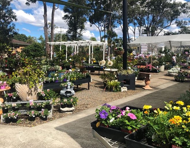 North Tivoli Nursery, North Tivoli, Ipswich, plants