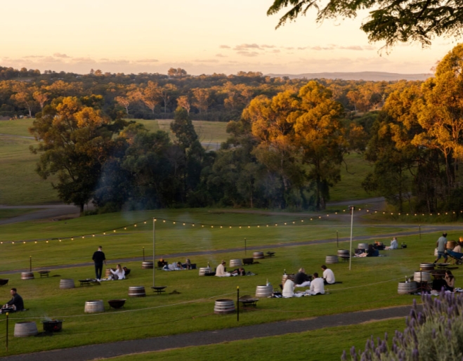 People at fire pit experience 