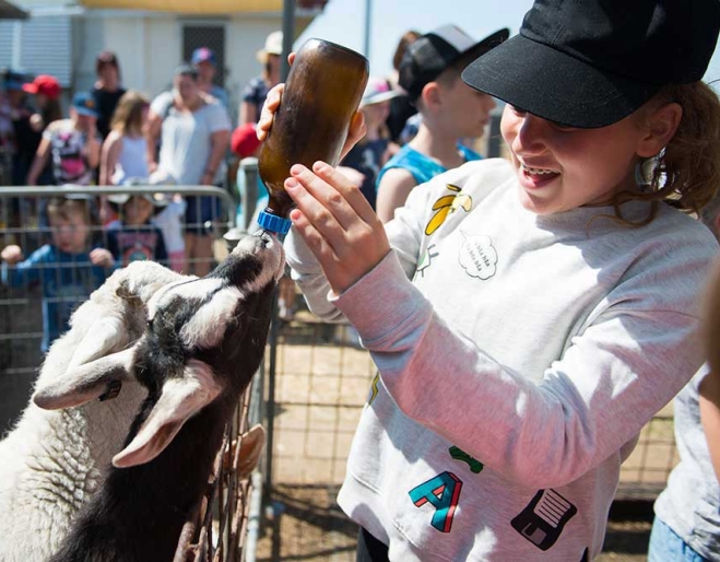 Naughty Little Kids Farm Tours, Peak Crossing
