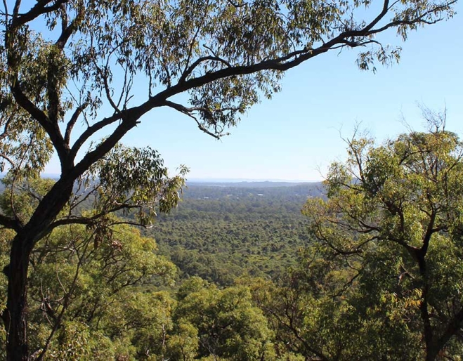 Plunkett Conservation Park, Cedar Creek