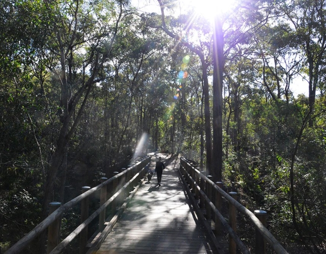 Raven St Reserve Walk 815 Rode Rd Chermside
