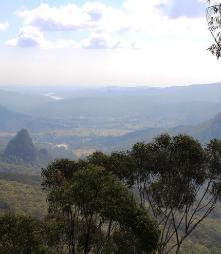 Bellbird Lookout Walk Binna Burra Lamington Park Bellbird Lookout Walk Binna Burra Lamington Park