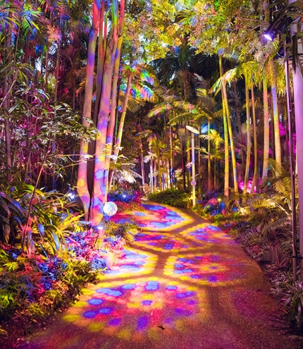 Lit up trees and path at The Enchanted Garden