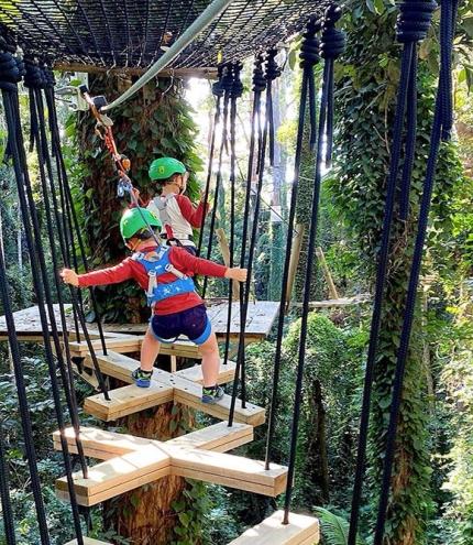 TreeTop Challenge Juniors Zipline Adventure Park, Sunshine Coast 