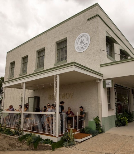 Bear Boy Espresso Windsor