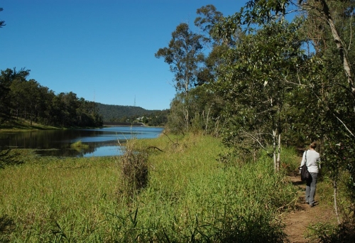 Woman walking on Araucaria circuit track in Brisbane Forest Park next to the Enoggera Reservoir in The Gap