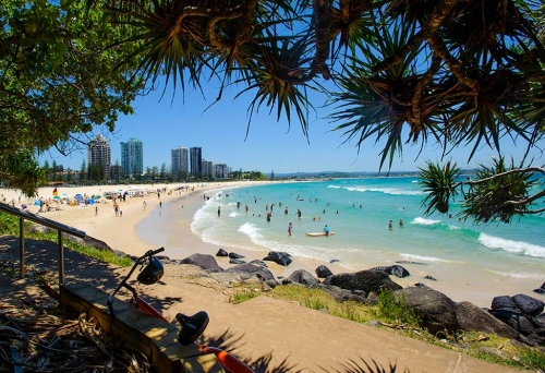 Day Tripping in Coolangatta