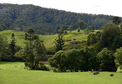 Countryside on the outskirts of Dayboro