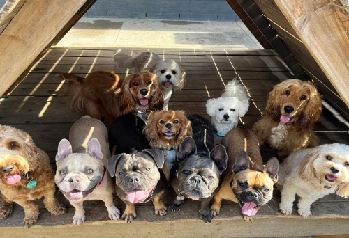 Barkley Park Day Care Kedron Barkley Park Day Care Kedron