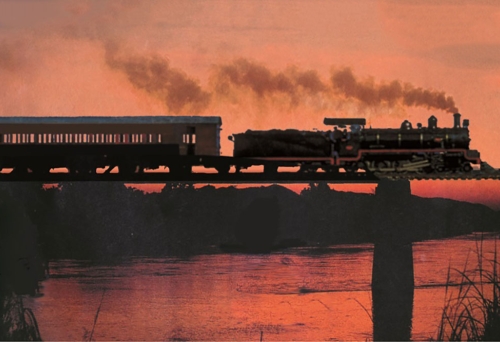 Murder Mystery Express Mary Valley Rattler