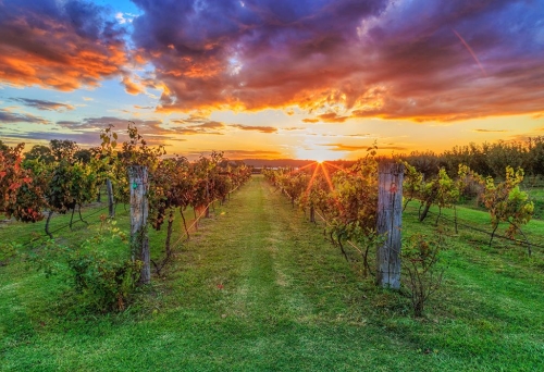 Southern Downs and Granite Belt 