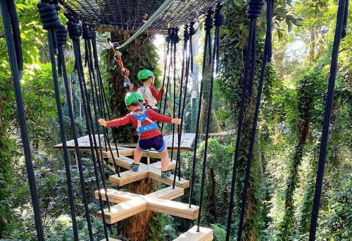 TreeTop Challenge Juniors Zipline Adventure Park, Sunshine Coast 