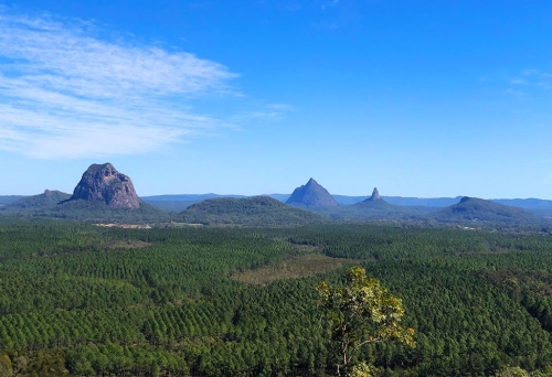 Wild Horse Mountain Scenic Lookout Wild Horse Mountain Scenic Lookout, bush walks, Queensland, Beerburrum, Glass House Mountains, hiking, scenery, coastal views