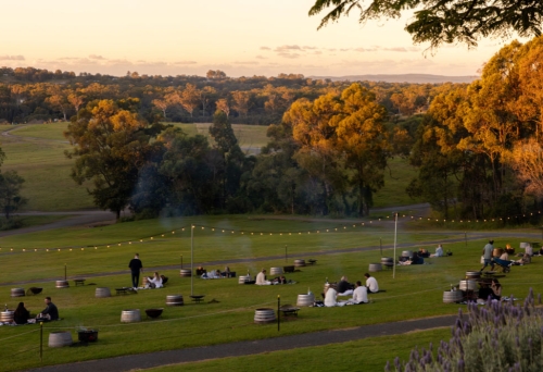 People at fire pit experience 