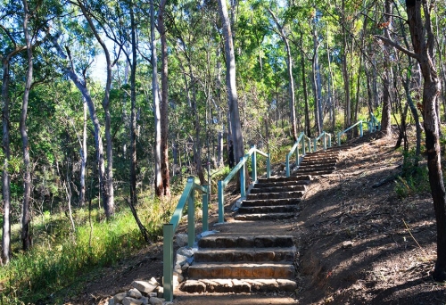 Spotted Gum Trail, Mt Coot-Tha Forest, Brisbane Spotted Gum Trail, Mt Coot-Tha Forest, Brisbane, bushwalking, bushwalkers, eucalypt bushland, Toowong, Queensland