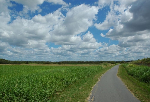 Kedron Brook Bikeway