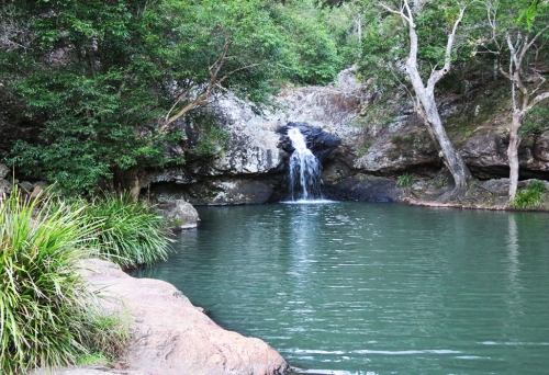 Kondalilla Falls National Park