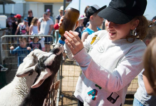 Naughty Little Kids Farm Tours, Peak Crossing