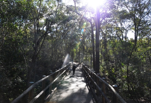 Raven St Reserve Walk 815 Rode Rd Chermside