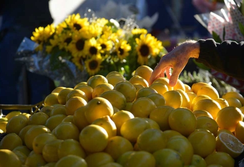 Brisbane Vegan Markets