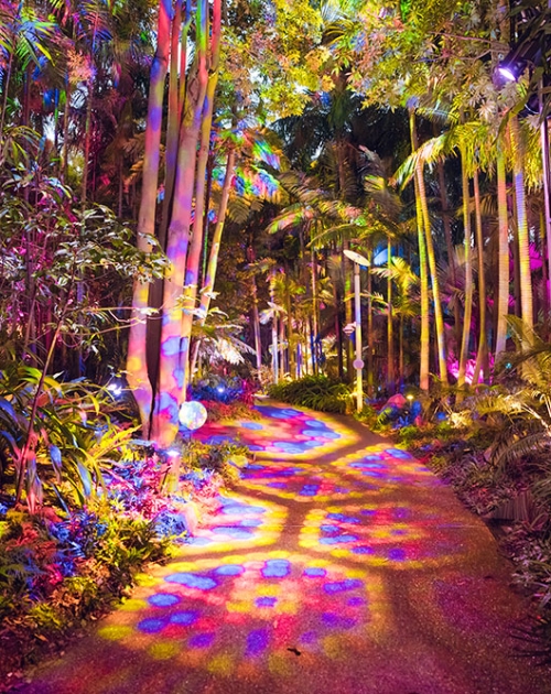Lit up trees and path at The Enchanted Garden