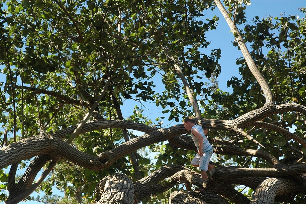 Scarborough Beach Park, Scarborough