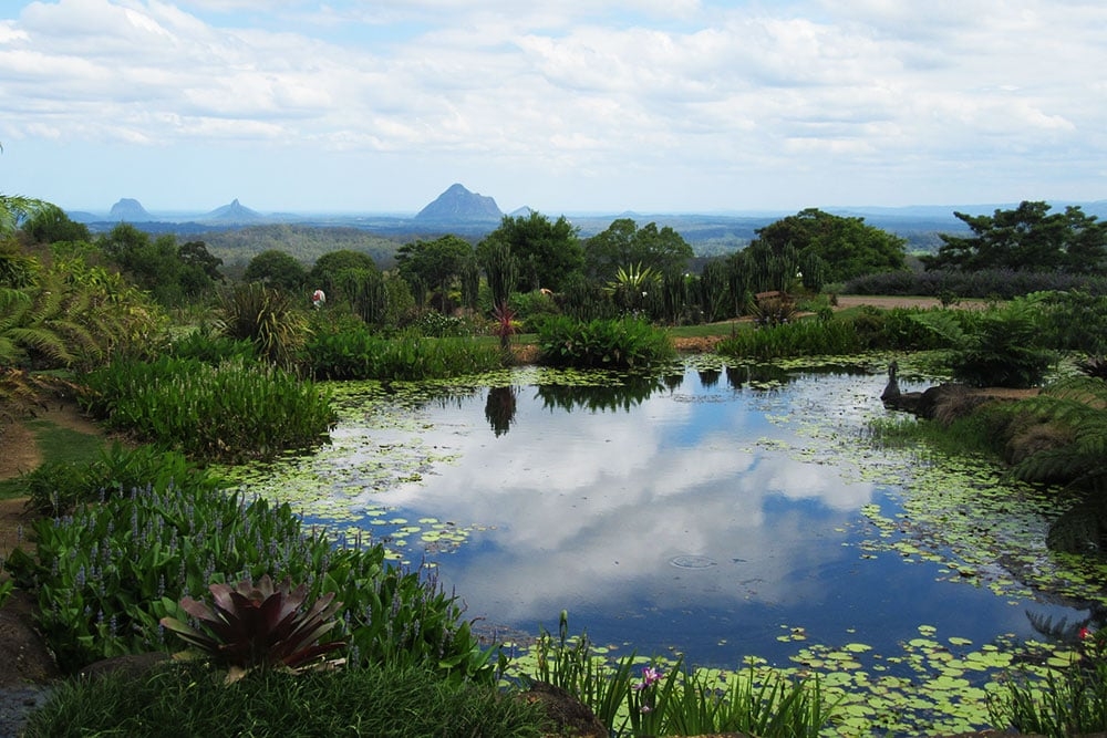 Maleny Botanic Gardens Maleny Botanic Gardens