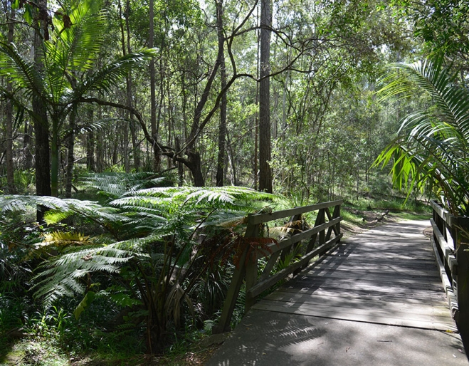 Cornubia Forest Park Shailer Park
