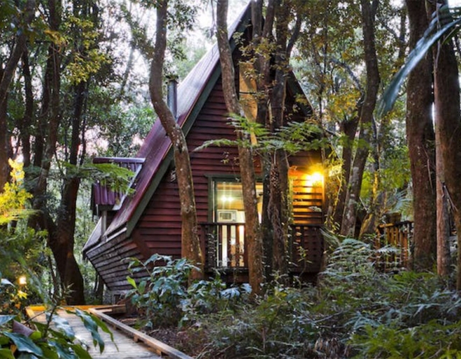 The Mouses House Rainforest Retreat Springbrook National Park