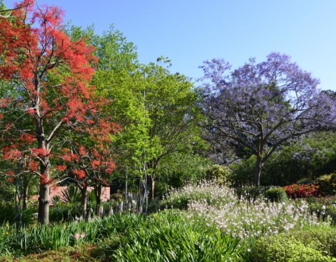 Roma Street Parkland Spectacle Garden