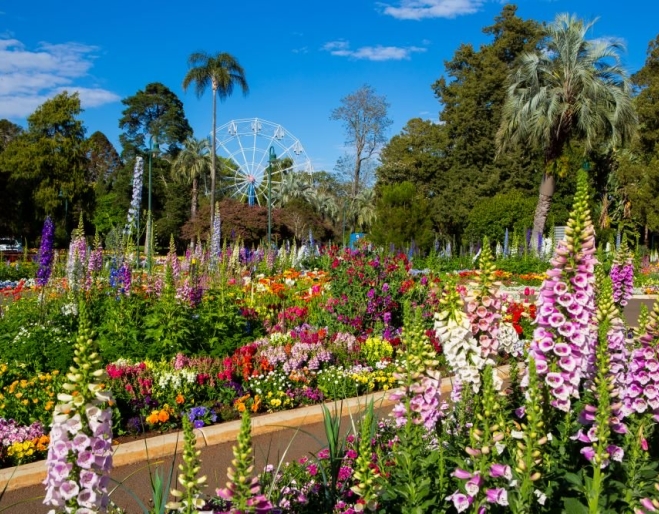 Toowoomba Carnival of Flowers Toowoomba Carnival of Flowers