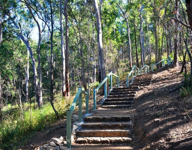Spotted Gum Trail, Mt Coot-Tha Forest, Brisbane Spotted Gum Trail, Mt Coot-Tha Forest, Brisbane, bushwalking, bushwalkers, eucalypt bushland, Toowong, Queensland