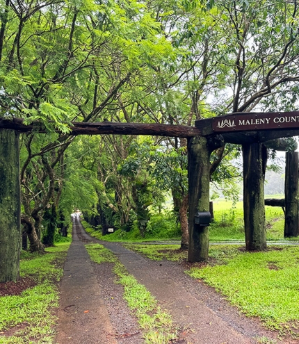 Maleny Country Estate, Reesville Maleny Country Estate, Reesville