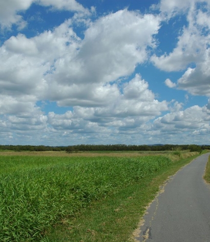 Kedron Brook Bikeway