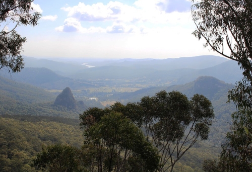 Bellbird Lookout Walk Binna Burra Lamington Park