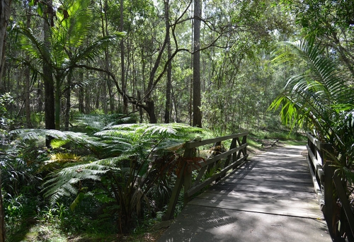 Cornubia Forest Park Shailer Park