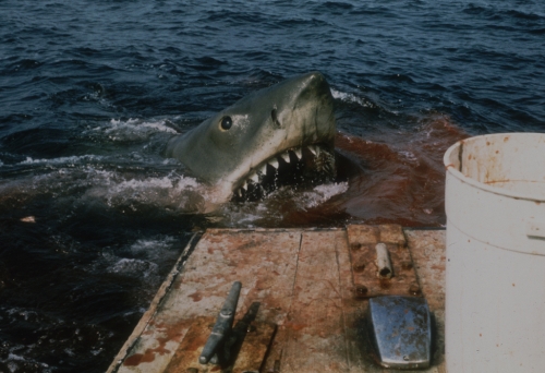 Shark scene in JAWS