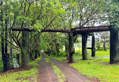 Maleny Country Estate, Reesville Maleny Country Estate, Reesville