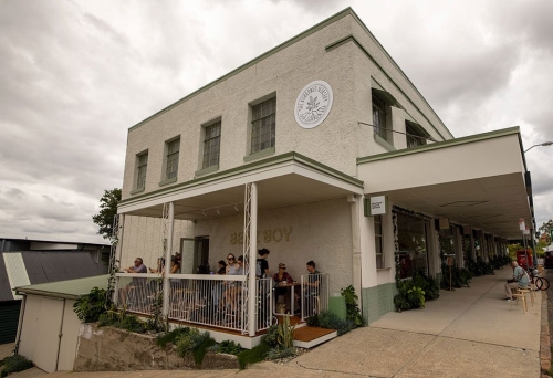 Bear Boy Espresso Windsor