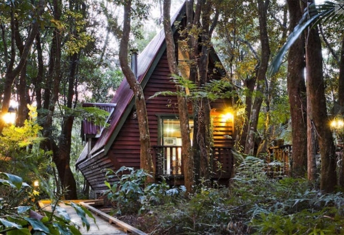 The Mouses House Rainforest Retreat Springbrook National Park The Mouses House Rainforest Retreat Springbrook National Park