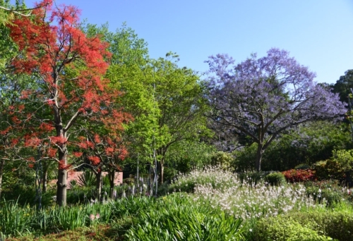 Roma Street Parkland Spectacle Garden
