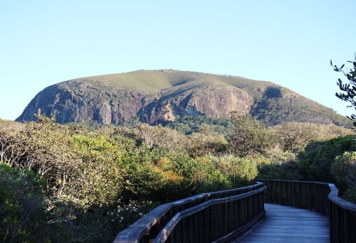 Mt Coolum Summit Track Sunshine Coast