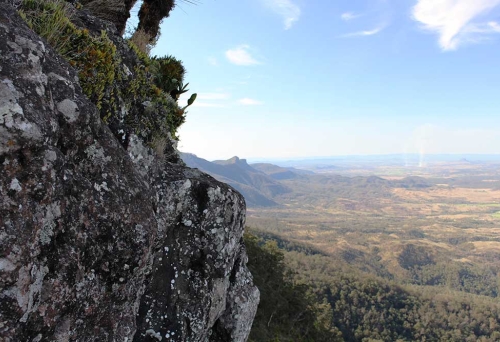 Mt Cordeaux, Cunningham's Gap, Scenic Rim