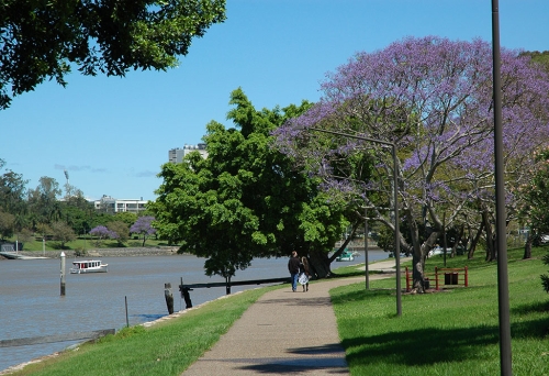Merthyr Park New Farm 