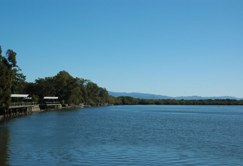 Creek and bush in Tinchi Tamba Wetlands in Bald Hills