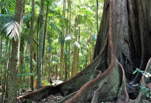 Witches Falls circuit